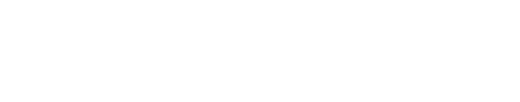 BIS Logo
